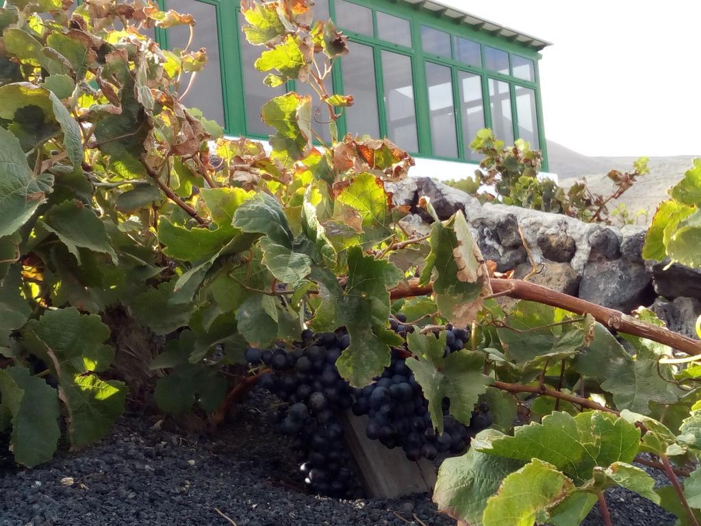 El Cortijo Eco Finca Hotel Ye Екстериор снимка